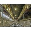 Sygonix SY-5627750 LED Energetická třída (EEK2021) D (A - G) E27 30 W = 260 W neutrální bílá (Ø x v) 73 mm x 175 mm nestmívatelné 1 ks