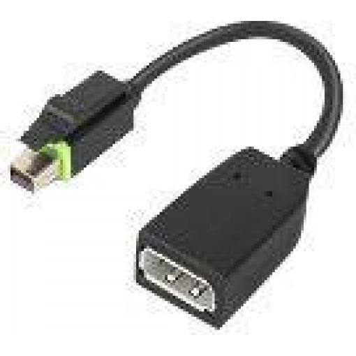 Lenovo 4X90Q93975 Mini-DisplayPort adaptér [1x - 1x DisplayPort] černá 0 mm