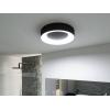 Paulmann 71097 Casca LED stropní svítidlo LED 23 W černá (matná)
