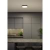 Paulmann 96778 Amalie LED stropní svítidlo LED 16 W černá (matná)