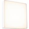 Paulmann Azalera 94841 venkovní nástěnné LED osvětlení LED 8.5 W bílá
