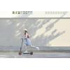 Segway Ninebot ZING C20 elektroskútr Li-Ion Homologace pro provoz na silnici: ne