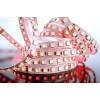 Deko Light 840147 LED pásek volný konec 24 V/DC 5000 mm RGB 5 m