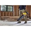 DEWALT DCMBL562N-XJ DCMBL562N-XJ akumulátor Akumulátorové dmychadlo 18 V