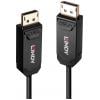 LINDY DisplayPort kabel Konektor DisplayPort 10.00 m černá 38520 Kabel DisplayPort