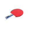 Sada na ping pong REBEL RBA-4003