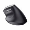 Trust TM-270 optická ergonomická myš, přenos bezdrátový, 6 tlačítko, 800 dpi, 1200 dpi, 1600 dpi, 2400 dpi, černá