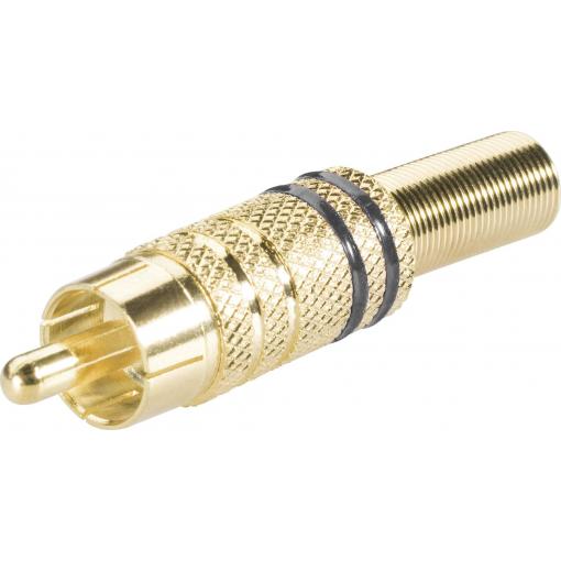 BKL Electronic 0101006 cinch konektor zástrčka, rovná Pólů: 2 černá 1 ks