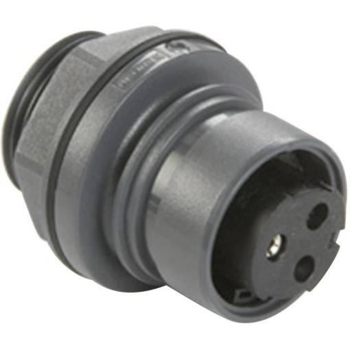 Bulgin PXP6012/02S/ST kulatý faston zásuvka, vestavná Série konektoru: PXP Počet kontaktů: 2 1 ks