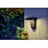 Philips LED Tyla 8719514476912 venkovní solární nástěnné osvětlení LED 1.2 W antracitová