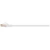 Renkforce RF-5771886 RJ45 síťové kabely, propojovací kabely CAT 6 S/FTP 1.50 m počítačová šedá bez halogenů 1 ks