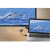 Renkforce RF-5771774 DisplayPort / DVI adaptér [1x zástrčka DisplayPort - 1x DVI zásuvka 24+5pólová] černá PVC plášť 15 cm