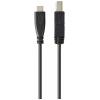 Renkforce USB kabel USB 3.2 Gen1 USB-C ® zástrčka, USB-B zástrčka 1.80 m černá kompletní stínění RF-5720408