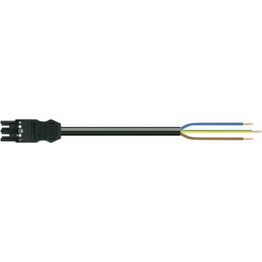 WAGO síťový připojovací kabel síťová zástrčka - kabel s otevřenými konci Počet kontaktů: 2 + PE černá 6.00 m 1 ks