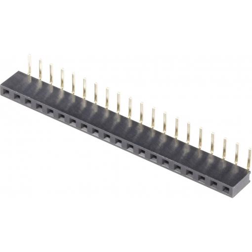 BKL Electronic zásuvková lišta Počet řádků: 1 Počet kontaktů v řadě: 20 10120804 1 ks