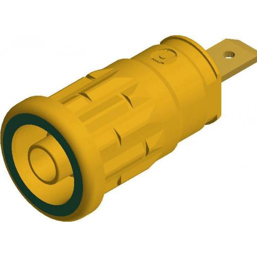 Hirschmann Test & Measurement SEP 2610 F4,8 bezpečnostní laboratorní zásuvka zásuvka, vestavná vertikální Ø pin: 4 mm žlutá, zelená 1 ks
