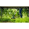 Bosch Home and Garden UniversalGrassCut 18V-26-500 Akumulátorová strunová sekačka + akumulátor 18 V 2 Ah šířka sekání: 26 cm