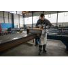 Bosch Professional GWS 12-125 06013A6106 úhlová bruska