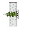 Fischer 532729 GK Green S K NV hmoždinka do sádrokartonu 22 mm 1 sada