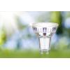Paulmann 29194 LED Energetická třída (EEK2021) A (A - G) GU10 žárovka 2.5 W neutrální bílá (Ø x v) 50 mm x 54 mm 1 ks