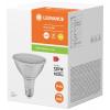 LEDVANCE 4099854071270 LED Energetická třída (EEK2021) G (A - G) E27 Par 38 15.2 W = 120 W teplá bílá (Ø x v) 122 mm x 122 mm 1 ks