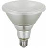 LEDVANCE 4099854067822 LED Energetická třída (EEK2021) F (A - G) E27 Par 38 14 W = 120 W teplá bílá (Ø x v) 122 mm x 122 mm 1 ks