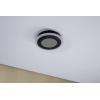 Paulmann 71037 Spaceglow LED stropní svítidlo LED 14 W černá (matná)