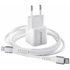 Intenso W30C GaN + C315L USB nabíječka, GaN, USB Power Delivery (USB-PD) , 1x USB-C®, 1x Apple Lightning;, 30 W, bílá