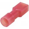 TRU COMPONENTS TC-11599304 faston zásuvka Šířka zástrčky: 2.8 mm Tloušťka konektoru: 0.5 mm 180 ° plná izolace červená 1 ks