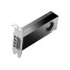 PNY grafická karta Nvidia GeForce RTX 2000 ADA 16 GB GDDR6-RAM PCIe x8 mini DisplayPort
