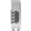 PNY grafická karta Nvidia GeForce RTX 2000 ADA 16 GB GDDR6-RAM PCIe x8 mini DisplayPort
