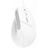 Trust BAYO II ERGONOMIC optická myš, přenos kabelový, 6 tlačítko, 2400 dpi, bílá