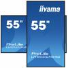 Iiyama ProLite LH5541UHS-B2 displej Digital Signage Energetická třída (EEK2021): G (A - G) 139 cm 54.6 palec 3840 x 2160 Pixel 24/7