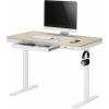 SpeaKa Professional psací stůl pro práci vsedě i ve stoje elektricky výškově nastavitelné Rozsah výšky: 72 do 1.2 m (š x h) 118 cm x 60 cm bílá, dřevo (světlé)