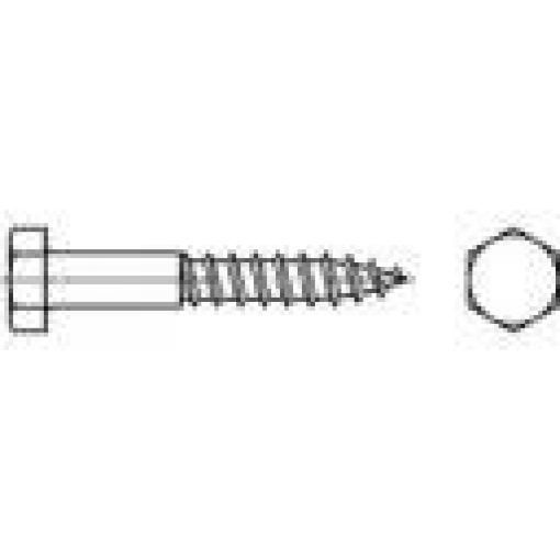 TOOLCRAFT 109205 šestihranný šroub 10 mm 120 mm vnější šestihran DIN 571 ocel galvanizováno zinkem 50 ks