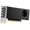 PNY grafická karta Nvidia RTX 2000 ADA Generation 16 GB GDDR6-RAM PCIe x8 mini DisplayPort Sopka