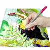 Staedtler pigment brush pen Nature Colour 371 C12-3 popisovač barevná , přírodní 12 ks