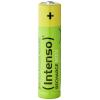 Intenso 7505214 akumulátor AAA Ni-MH 1000 mAh 1.2 V 4 ks