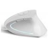 Perixx PERIMICE-513 W optická ergonomická myš, přenos kabelový, 6 tlačítko, 1600 dpi, bílá