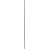 Bosch Accessories 2608833812 2608833812 příklepový vrták 12 mm SDS plus 1 ks