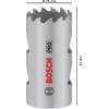 Bosch Accessories 2608901498 2608901498 vrtací korunka 25 mm 1 ks