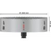 Bosch Accessories 2608594420 2608594420 vrtací korunka 168 mm 1 ks
