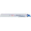 Bosch Accessories 2608658989 Plátek šalové pily 5 ks