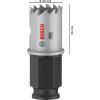 Bosch Accessories 2608594440 2608594440 vrtací korunka 20 mm 1 ks