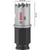 Bosch Accessories 2608594439 2608594439 vrtací korunka 19 mm 1 ks