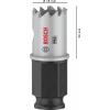 Bosch Accessories 2608594439 2608594439 vrtací korunka 19 mm 1 ks