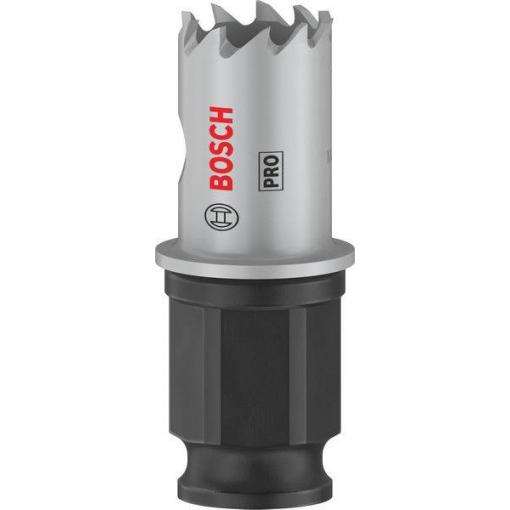 Bosch Accessories 2608594438 2608594438 vrtací korunka 17 mm 1 ks