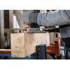 Bosch Accessories 2608665237 List přímočaré pily PRO Wood precise T1044DP, 250 mm, 2 ks 2 ks