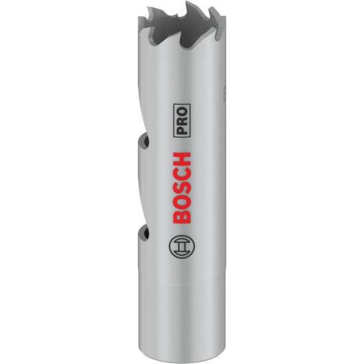 Bosch Accessories 2608901491 2608901491 vrtací korunka 16 mm 1 ks