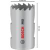 Bosch Accessories 2608901500 2608901500 vrtací korunka 29 mm 1 ks